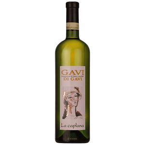 GAVI DI GAVI