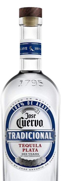 TRADICIONAL PLATA
