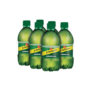 GINGER ALE 6 PACK