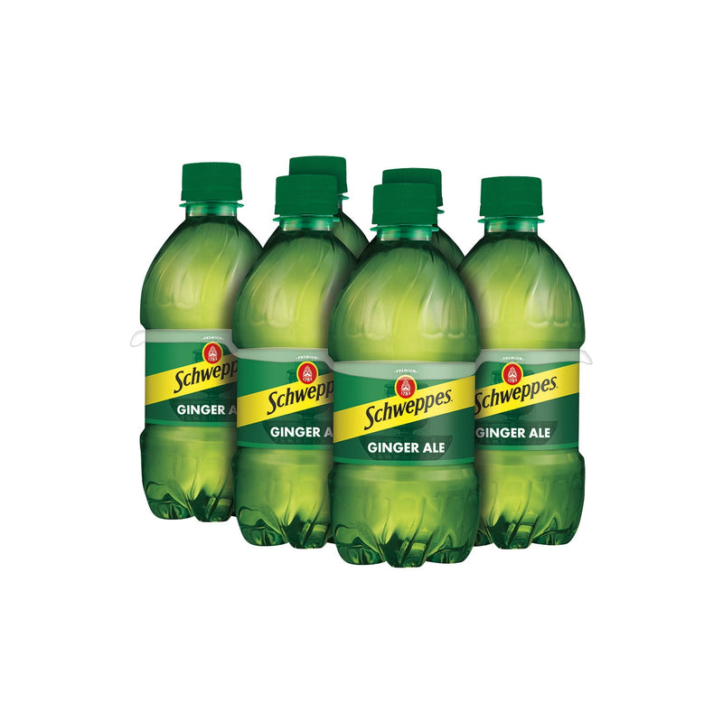 GINGER ALE 6 PACK