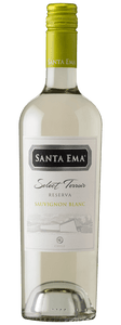 SAUVIGON BLANC