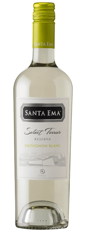 SAUVIGON BLANC