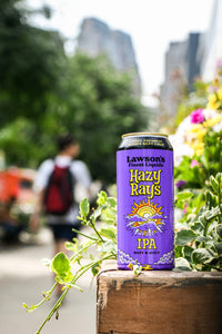HAZY RAYS IPA 4PK